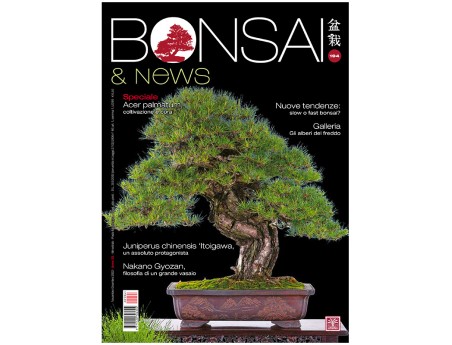 BONSAI & news 194 - Novembre-Décembre 2022