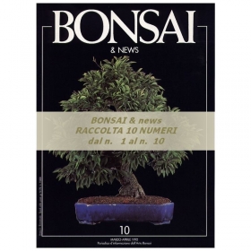 Raccolta BONSAI & news - dal n°  1 al n° 10