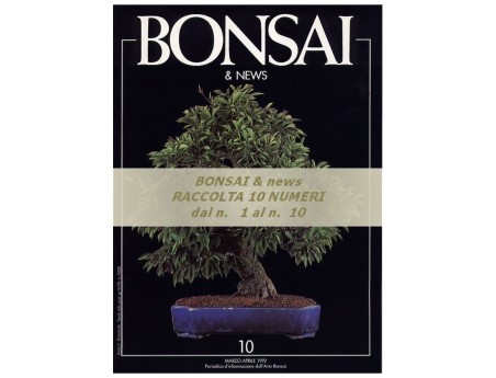 Raccolta BONSAI & news - dal n°  1 al n° 10