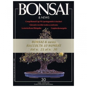 Raccolta BONSAI & news - dal n°  21 al n° 30