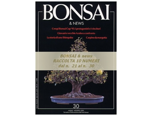 Raccolta BONSAI & news - dal n°  21 al n° 30
