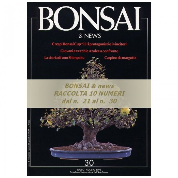 Raccolta BONSAI & news - dal n°  21 al n° 30