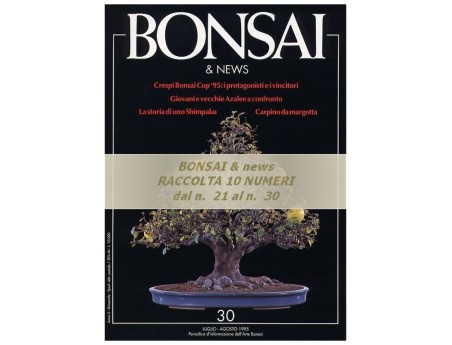 Raccolta BONSAI & news - dal n°  21 al n° 30