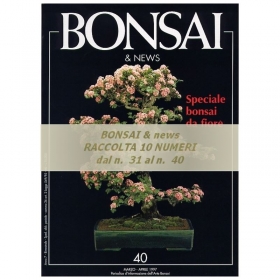 Raccolta BONSAI & news - dal n°  31 al n° 40