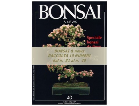 Raccolta BONSAI & news - dal n°  31 al n° 40