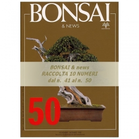 Raccolta BONSAI & news - dal n°  41 al n° 50