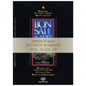 Raccolta BONSAI & news - dal n°  51 al n° 60