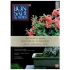 Raccolta BONSAI & news - dal n° 111 al n° 120
