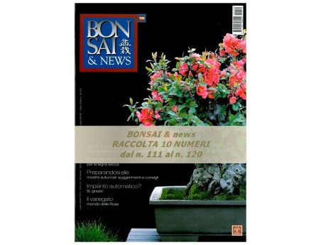 Raccolta BONSAI & news - dal n° 111 al n° 120