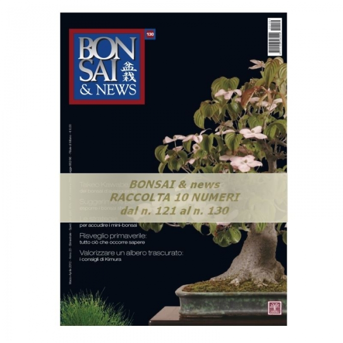 Raccolta BONSAI & news - dal n° 121 al n° 130
