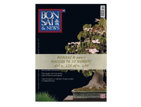 Raccolta BONSAI & news - dal n° 121 al n° 130
