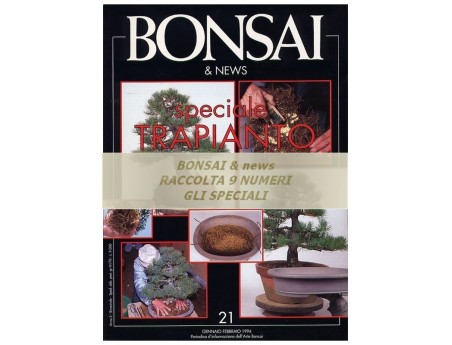 Raccolta BONSAI & news - numeri speciali