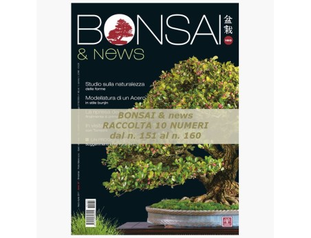 Raccolta BONSAI & news dal 151 al 160