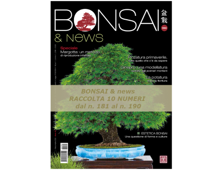 Raccolta BONSAI & news dal 181 al 190