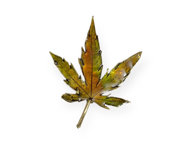 tenpai-feuille-moyenne-2