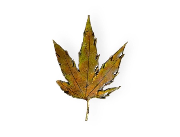 tenpai-feuille-moyenne-3