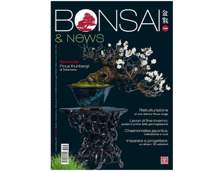 BONSAI & news 195 gennaio-febbraio 2023
