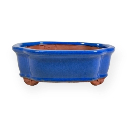 Vaso 15,5 cm