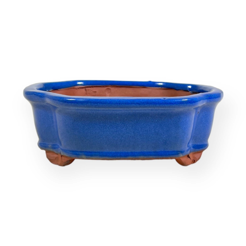 Vaso 15,5 cm