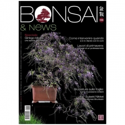 BONSAI & news 196 mars-avril 2023