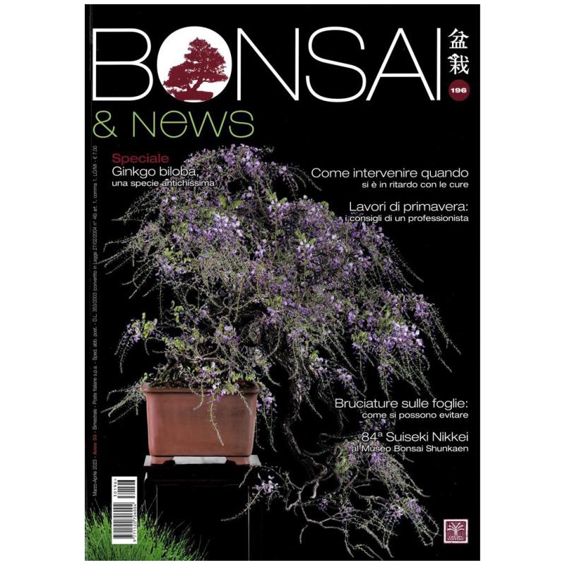 BONSAI & news 196 marzo-aprile 2023