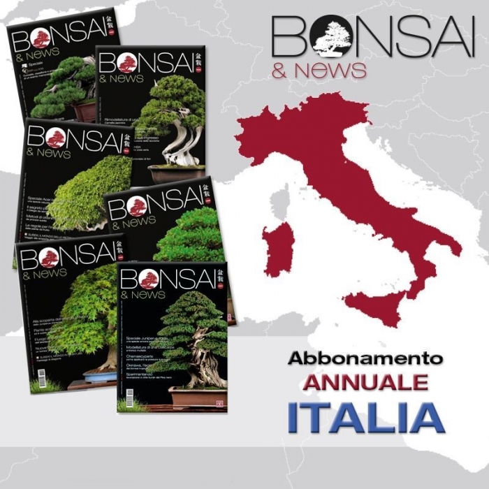 Abbonamento annuale BONSAI & news - ITALIA