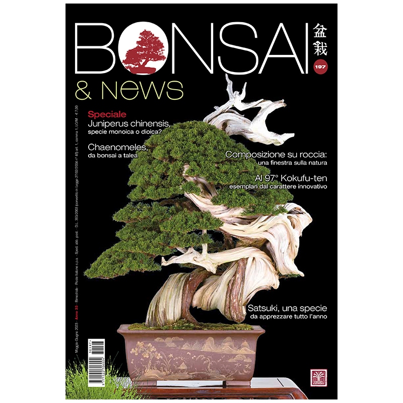 BONSAI & news 197 maggio-giugno 2023
