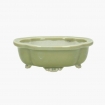 Pot Shuiming 14,3 cm
