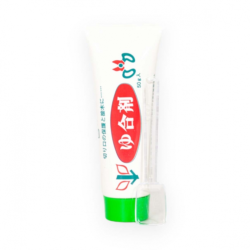 Mastice giapponese con ormoni tubetto 50 gr
