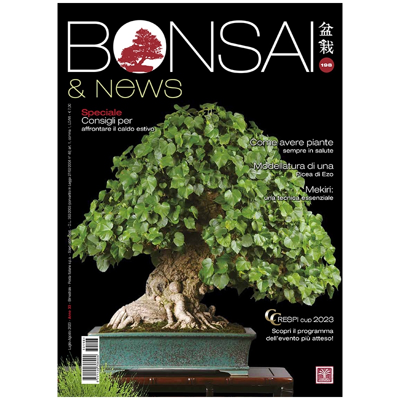 BONSAI & news 198 July-August 2023