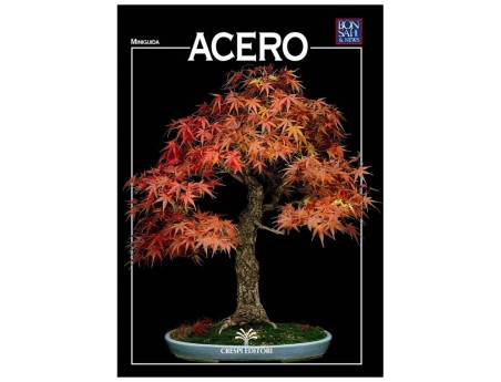 Acero - Miniguida BONSAI & news