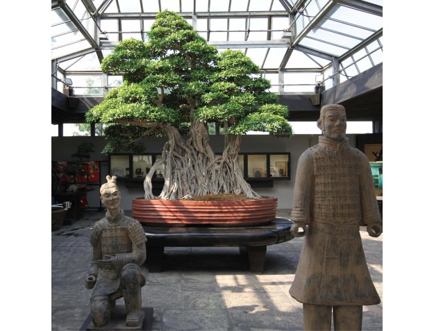 Museum Entrance