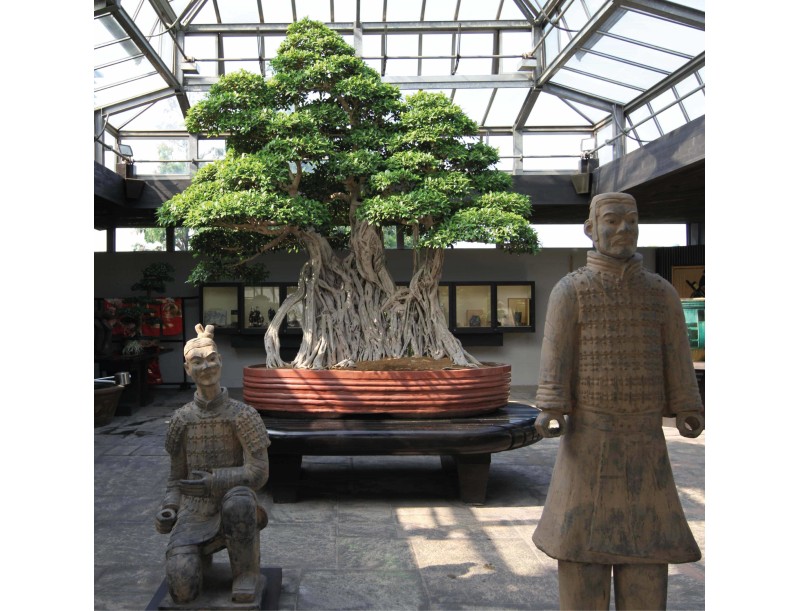 Eintritt ins Museum