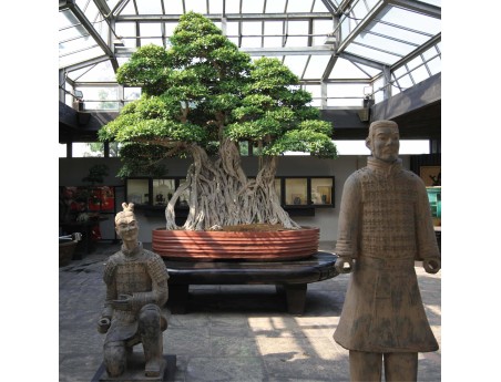 Eintritt ins Museum