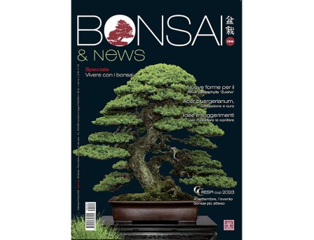 BONSAI & news 199 settembre-ottobre 2023