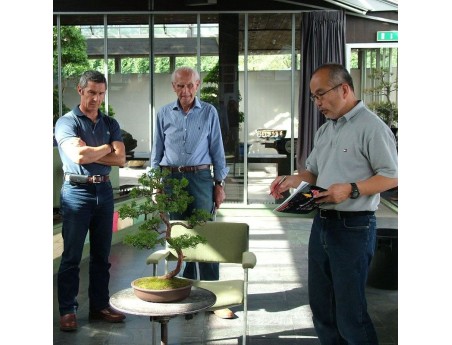Workshop bonsai individuale o di gruppo