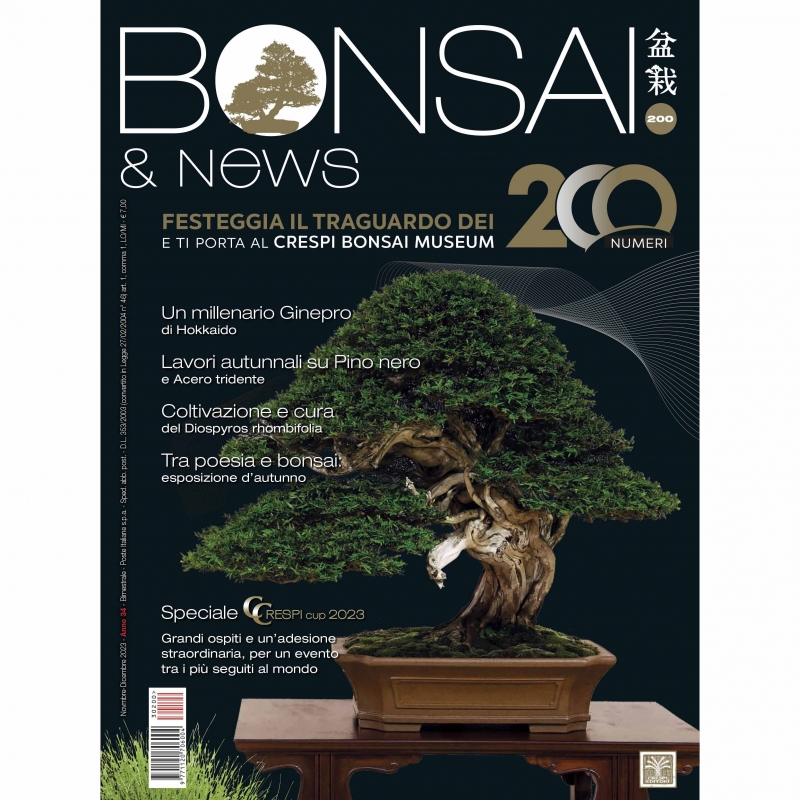 BONSAI & news 200 November-December 2023