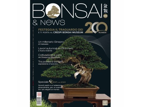BONSAI & news 200 novembre-dicembre 2023