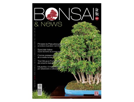 BONSAI & news 167 - Maggio-Giugno 2018