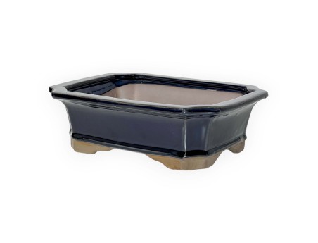 Pot 21 cm rectangulaire bleu