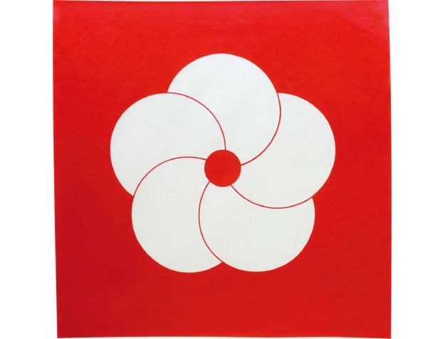 Furoshiki 70 cm - Pin Bambou Prunus Rouge