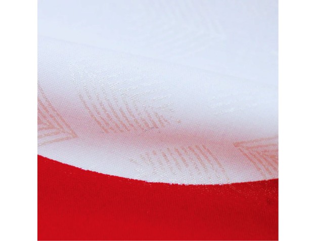 Furoshiki 70 cm - Rode Prunus Bamboe Den 2