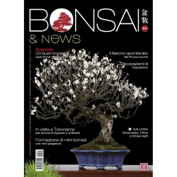 BONSAI & news 201 gennaio-febbraio 2024