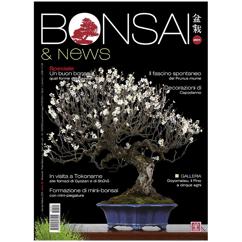 BONSAI & news 201 gennaio-febbraio 2024