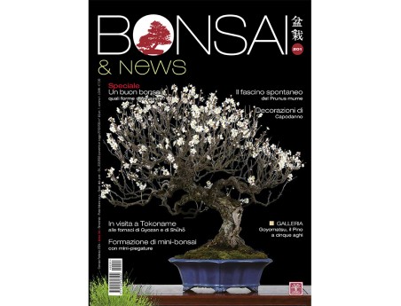 BONSAI & news 201 January-February 2024