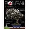 BONSAI & news 201 January-February 2024