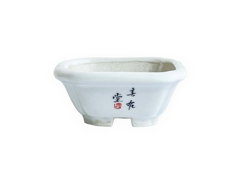 Pot carré - Fleur jaune - 8 cm