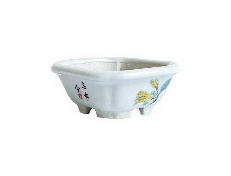 Square pot - Yellow flower - 8 cm