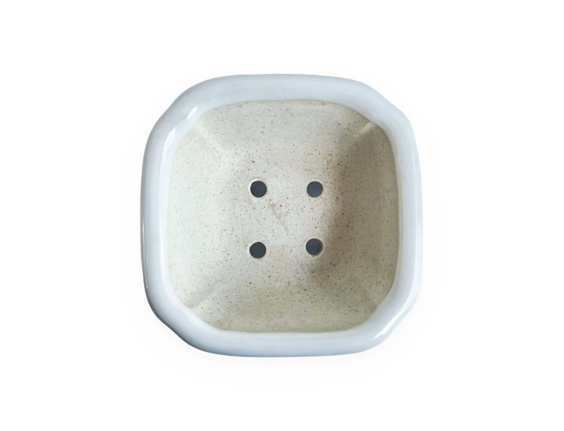 Square pot - Yellow flower - 8 cm