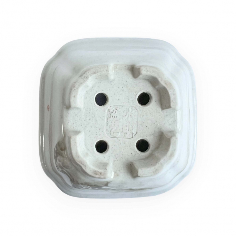 Vaso quadrato - Scogliera - 8 cm